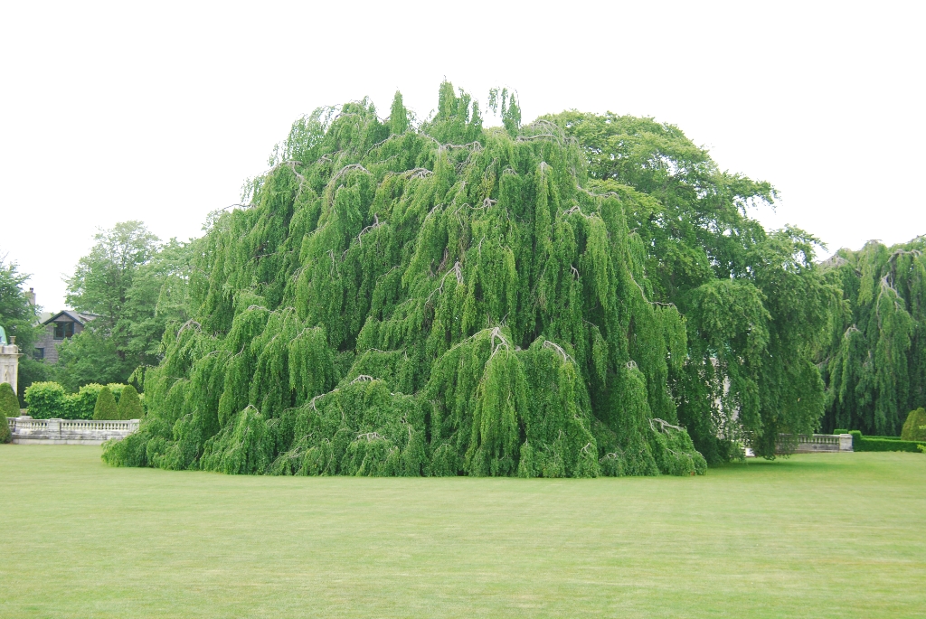 DSC_1202.JPG